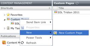 Opening the custom Page dialog