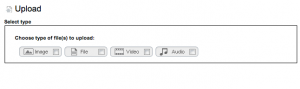 Media Manager Type Selection