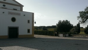 The Winery should've changed their trim to diamonds after we showed up. 