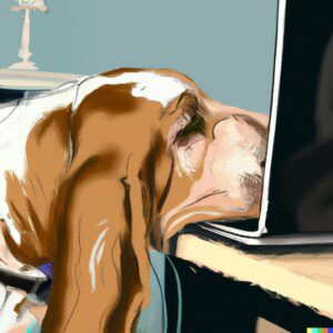 Introducing SelectorHound