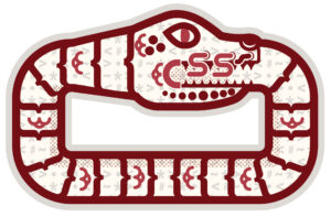 How to Manage CSS Performance for Websites